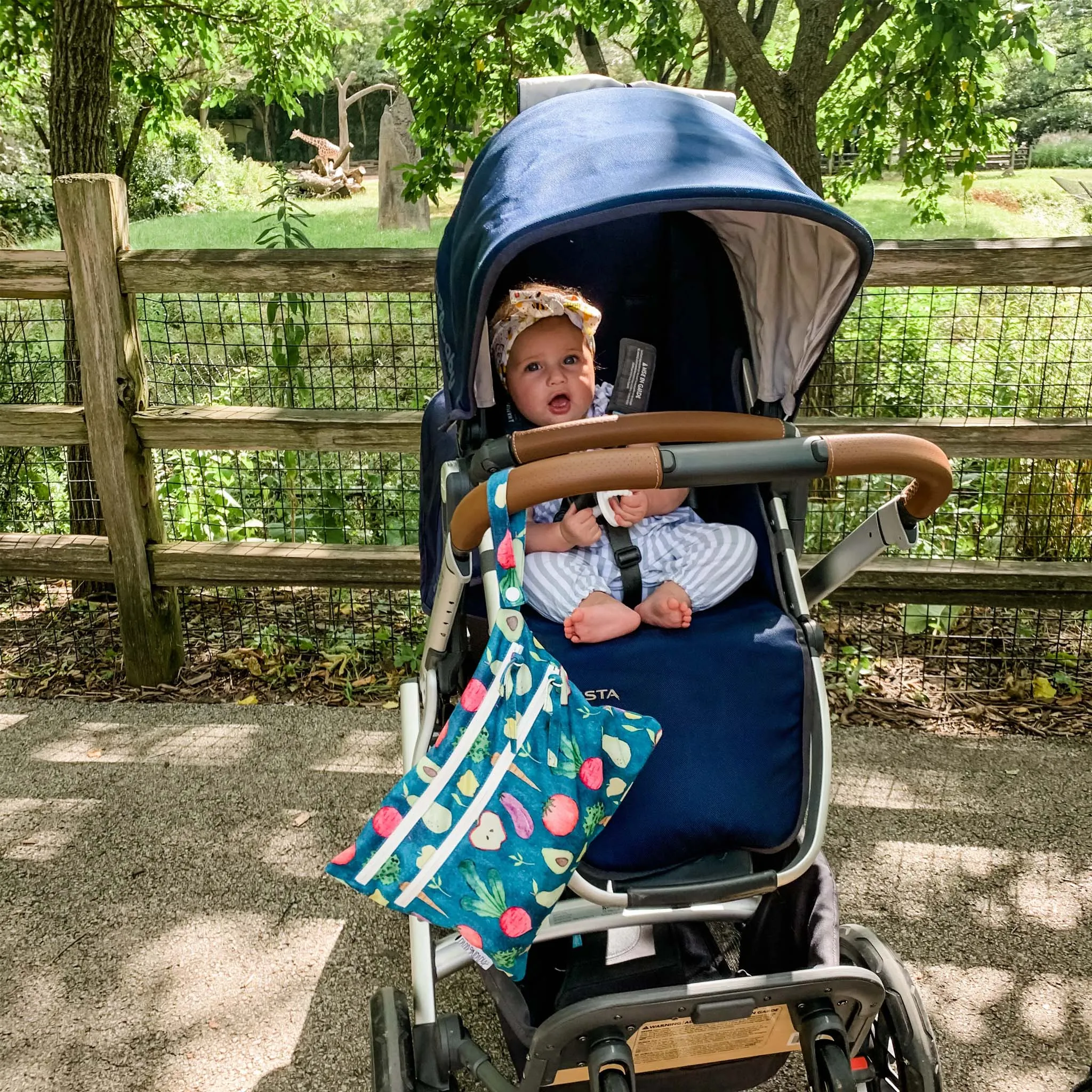 BapronBaby Wet and Dry Waterproof Storage Bag