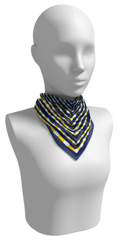 Blue   Yellow Gameday Scarf