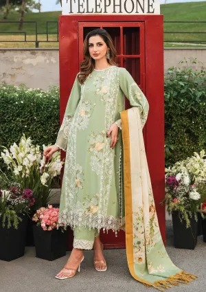 Elaf Pashmina/EPW-4B Whispers of Joy