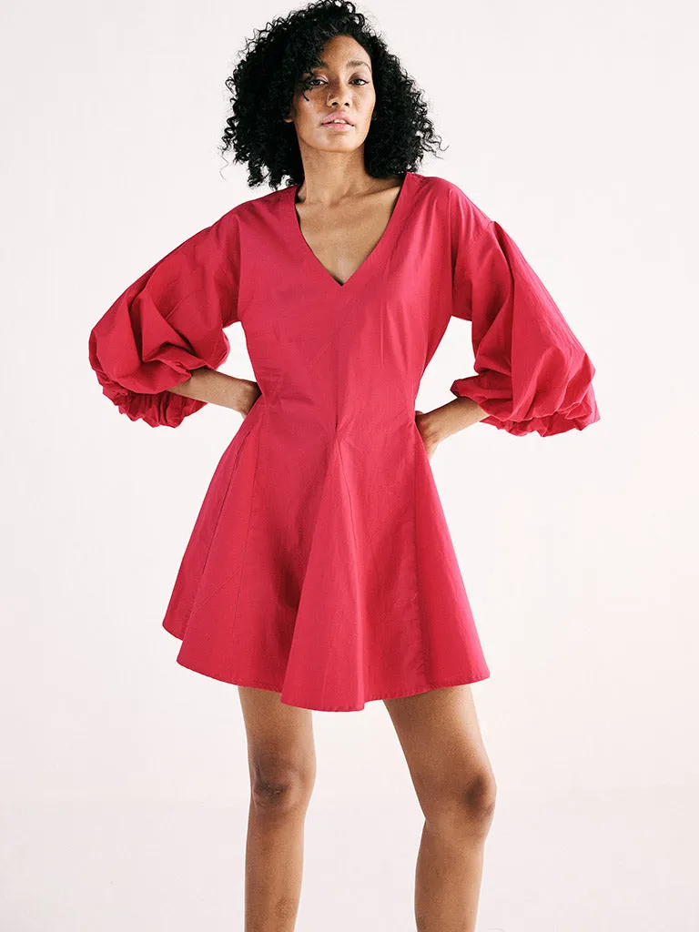 Flamingo Blaze Dress
