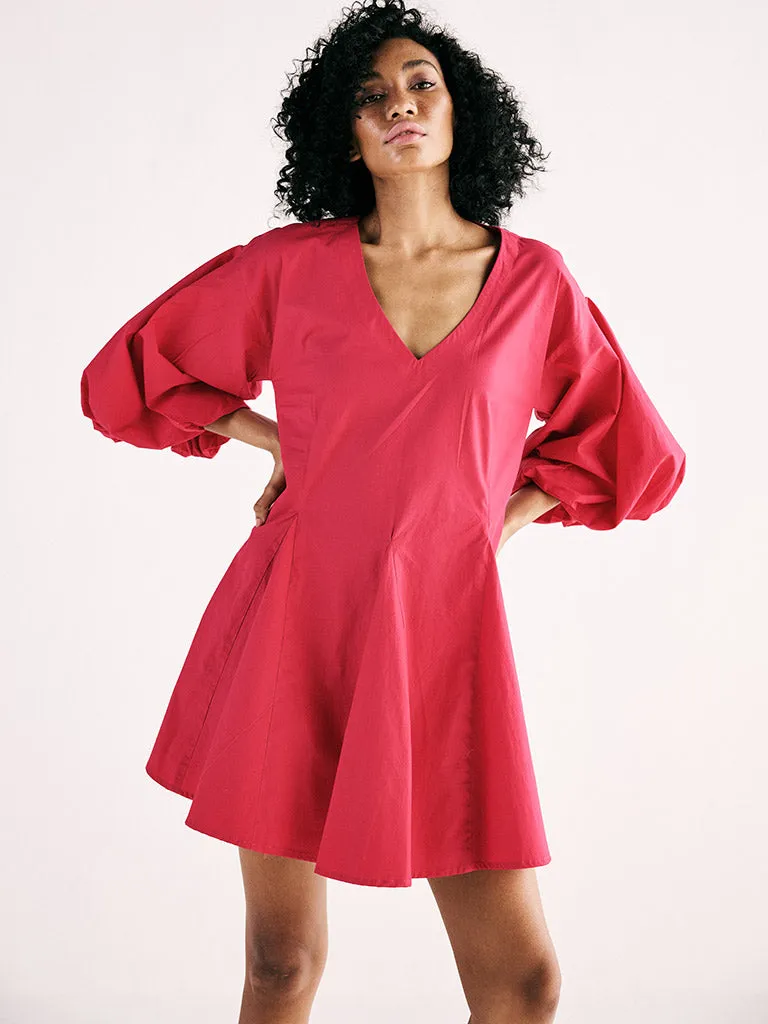 Flamingo Blaze Dress