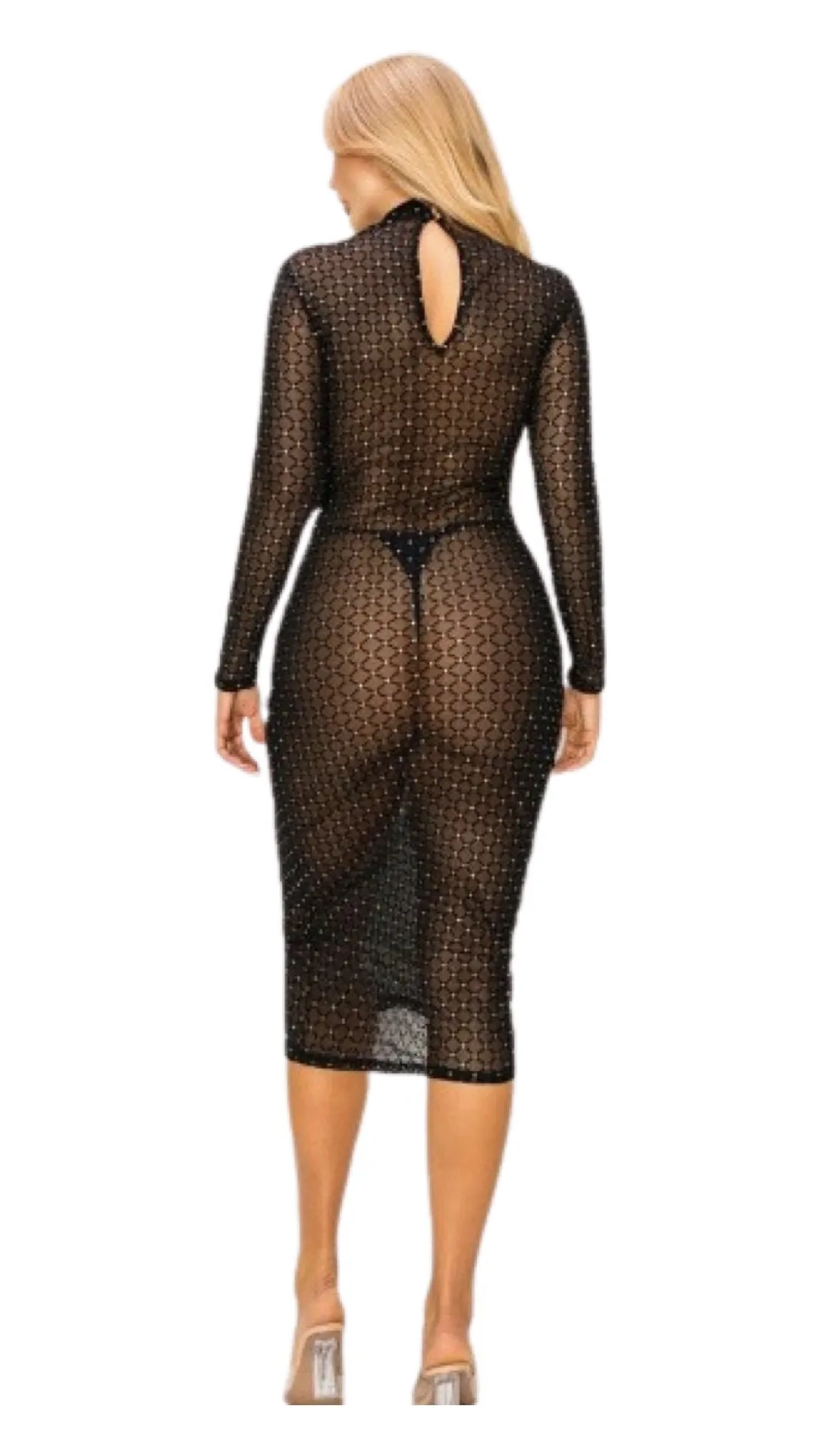 Glitter Long Sleeve Sheer Dress Black