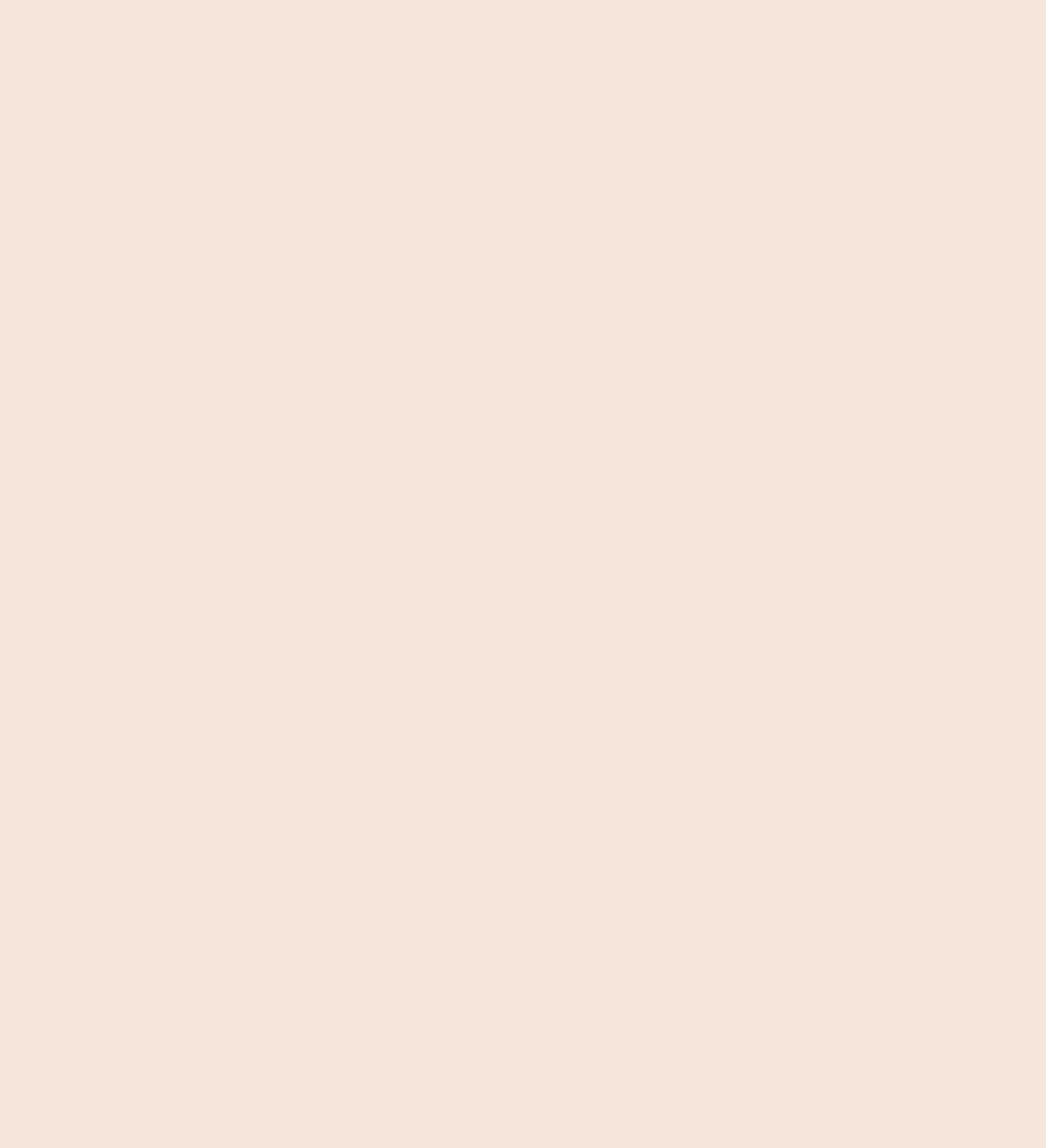 MILLIE BRIEF - SHEER PINK