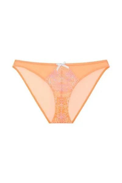 Naomi Floral Embroidered Brief - Orange -