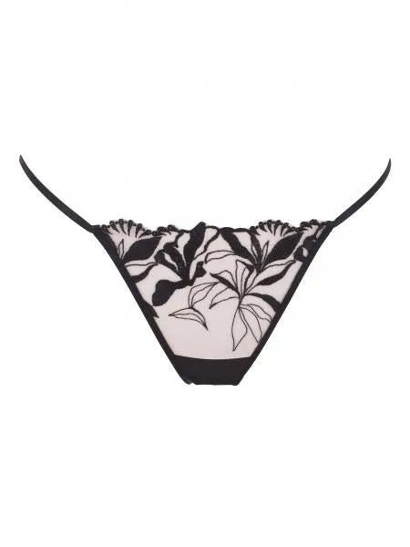 Persephone Panty - Sheer/Black -