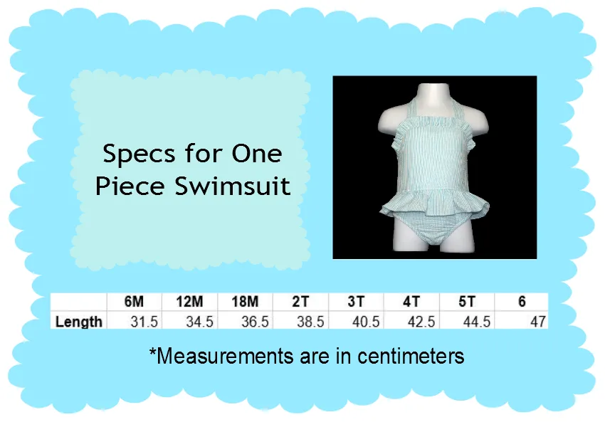 Seersucker Ruffle One Piece Swimsuit *PRE ORDER*