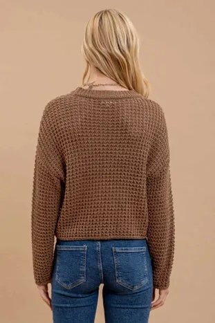 Sheer Crochet Knit Sweater