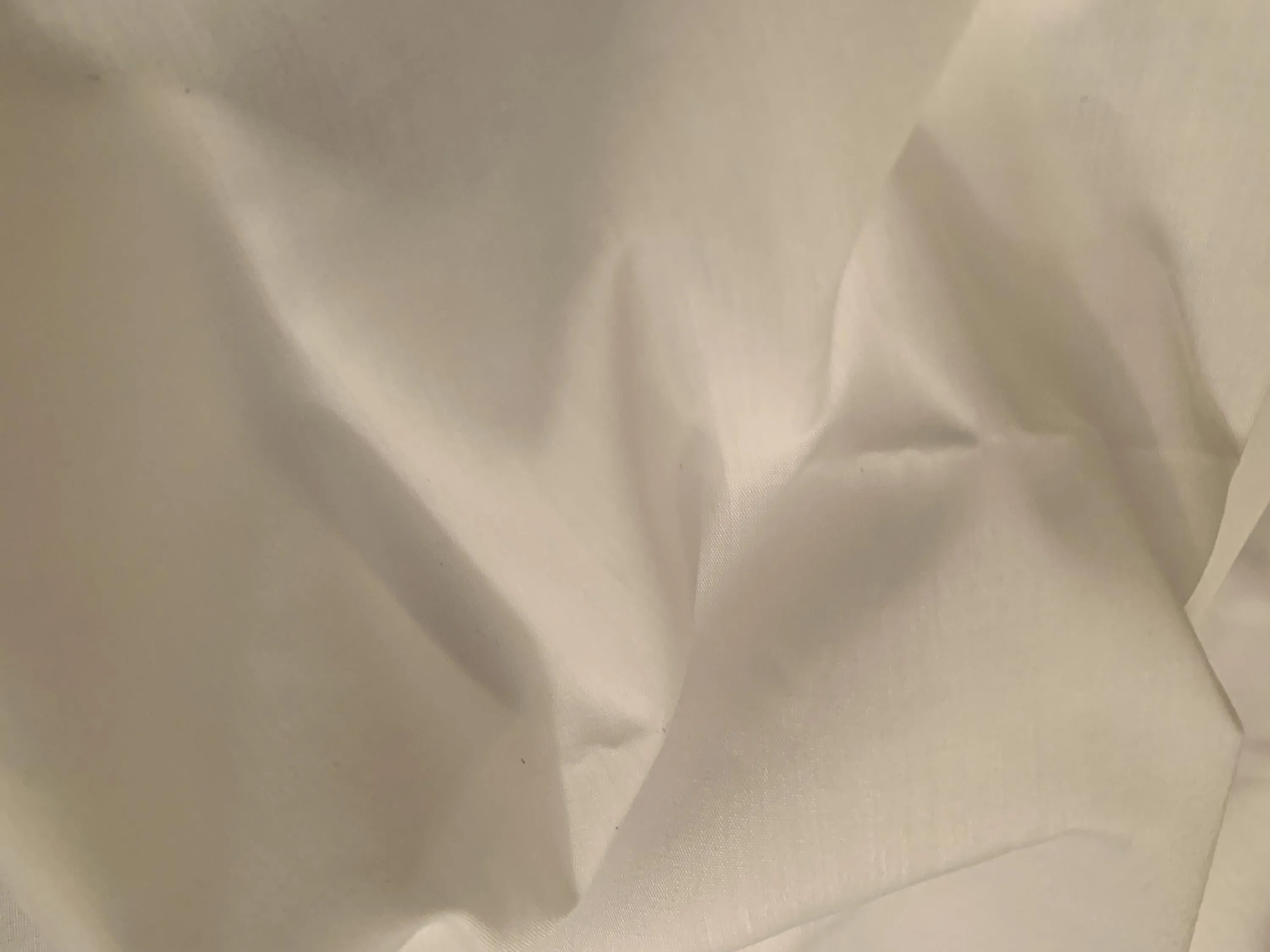 White Cotton Twill
